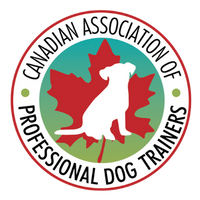 PROFESSIONAL PET DOG TRAINERS, GROOMERS AND WALKERS_CAPPDT